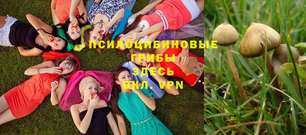 мяу мяу кристалл Ельня
