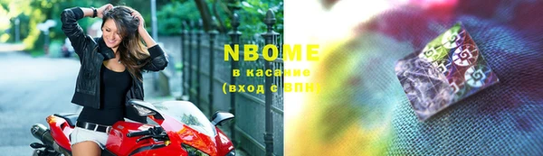 прущие грибы Елизово