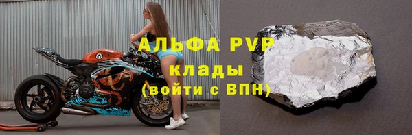 прущие грибы Елизово