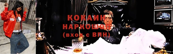 прущие грибы Елизово