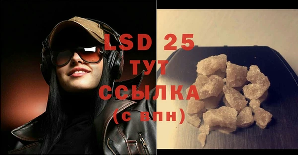 прущие грибы Елизово