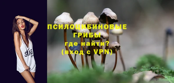 молекула духа Елабуга