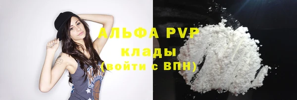 молекула духа Елабуга