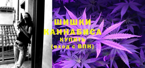 прущие грибы Елизово