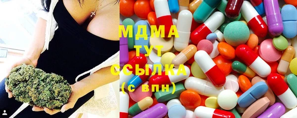 прущие грибы Елизово