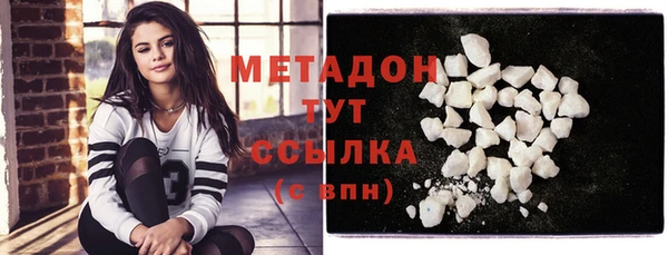 прущие грибы Елизово