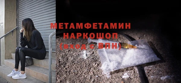 прущие грибы Елизово