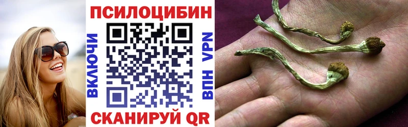 Купить закладки  Заинск  Галлюциногенные грибы мицелий 